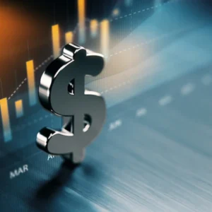 تأمین مالی در پروژههای PPP (Project Finance)